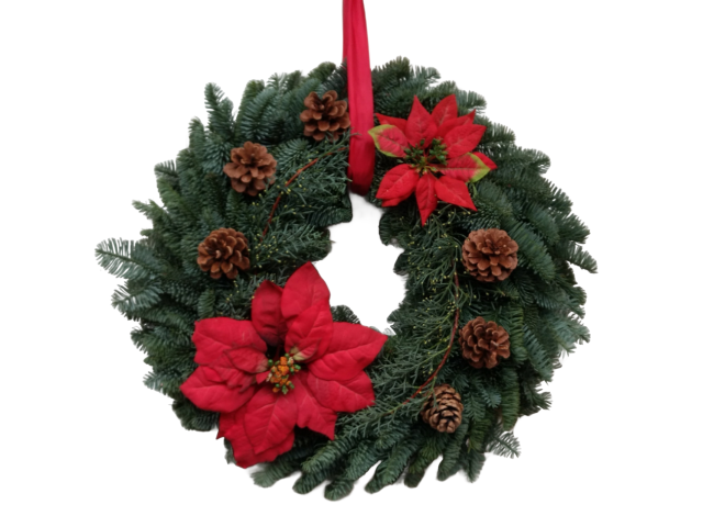 Türkranz Poinsettia 30 cm