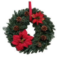 Türkranz Poinsettia 30 cm